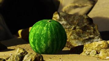 fresh watermelon on a beautiful sand beach video