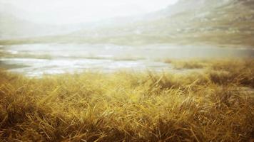 grassland on mountains in autumn video