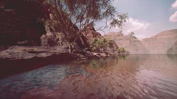 lac powell à une journée ensoleillée en été video