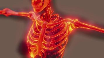Resplandor de huesos esqueléticos de humanos. video