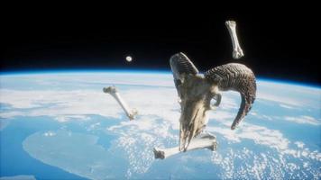 rams skull with bones at Earth orbit video