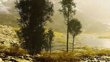 beautiful rocks with few trees at the daylight in Nepal video