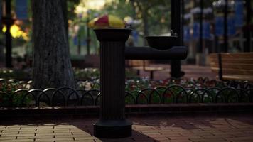 parc urbain calme avec arbres et bancs video