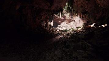 vista de dentro de uma caverna escura com plantas verdes e luz na saída video