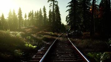 cores de outono ao longo de uma ferrovia ao pôr do sol video