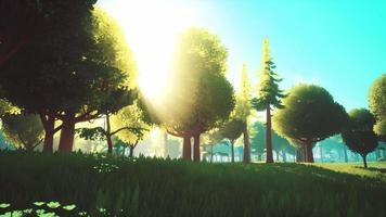 Cartoon Green Forest Landscape with Trees and flowers video