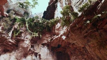 large fairy rocky cave with green plants video