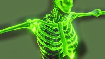 sistema esquelético humano em corpo transparente video