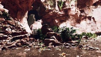 grande grotta rocciosa delle fate con piante verdi video