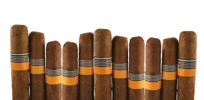 Cigars isolated on white