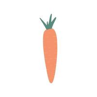 Cute carrot isolated on white background. Doodle vegetable. vector