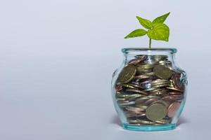 glass with many different coins and a green plant increase money at the financial market with white background large photo