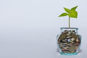 glass with many different coins and a green plant increase money at the financial market with white photo