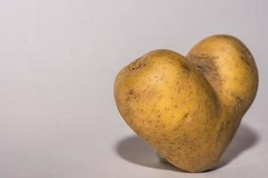 potatoe with form of a heart and gray background close photo