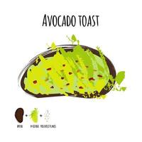 ilustración de tostadas de aguacate vector