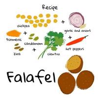 ilustración vectorial comida tradicional árabe y judía falafel e ingredientes sobre un fondo blanco. vector