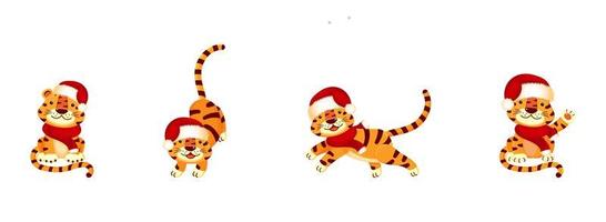 Set of New Year's tigers in Santa hat on white isolated background. vector