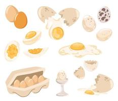 Eggs set. Fresh and boiled eggs. Broken with a cracked eggshell, in a cardboard box and half an egg. Organic agricultural product. A culinary ingredient for breakfast. Vector hand draw illustration