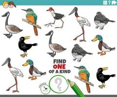 one of a kind game for children with cartoon birds vector