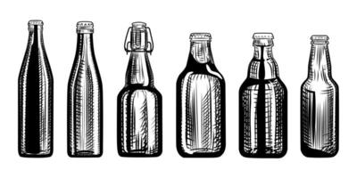 Set of beer bottles. Engraving style. Hand drawn vector