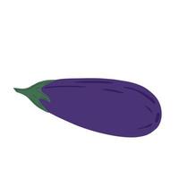 hand drawn eggplant isolated on white background. Doodle aubergine vegetable. vector