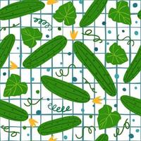 Seamless pattern with cucumber on white background. vector