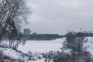 vista del río congelado desde la orilla del parque. foto