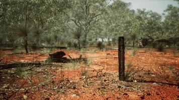 rural farm boundary fencing in poor condition and long dead dry grass photo