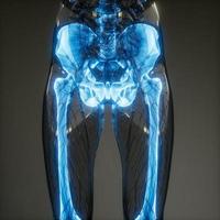 Transparent Human Body with Visible Bones photo