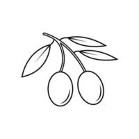 icono de fruta de oliva en blanco y negro con estilo de esquema en un fondo blanco adecuado para tropical, aceite, icono de aromaterapia. aislado vector