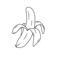 icono de contorno de plátano medio pelado sobre fondo blanco vector