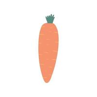 Cute hand drawn carrot isolated on white background. vector