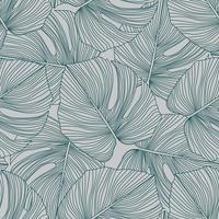 Tropical pattern, botanical leaf seamless pattern. Monstera leaves backdrop. vector