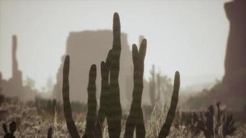 rayo de luz solar disparando a través del cielo del desierto al atardecer foto