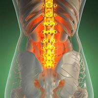 science anatomy of human body in x-ray with glow back bones photo