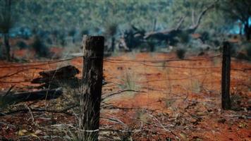 Dingoe fence in the Australian Outback photo