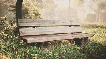 Wooden bench in nature by the tree photo