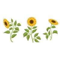 Sun flowers set Vector Clipart design