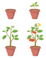 Plants in pots vector clip art set