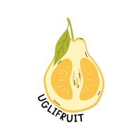 Exotic tropic uglifruit, organic fruit for print, stickers, poster and banner. Vector cartoon illustration.