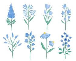 A collection of blue wildflowers hand painted in watercolor. vector