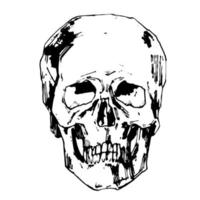 Hand-painted Human skull vector illustration at ink style