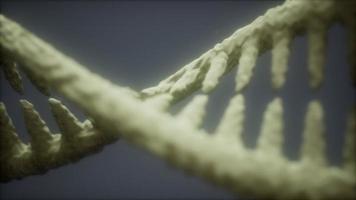 DNA renderizado em 3d particulado brilhante video