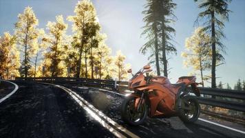 sportbike on tre road in forest with sun beams video