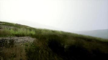 paesaggio di colline verdi aeree nella nebbia video