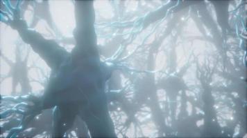 viaje a través de una red de células neuronales dentro del cerebro video