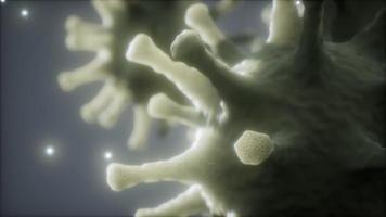 bactéries virus ou germes micro-organismes cellules sous microscope avec profondeur video