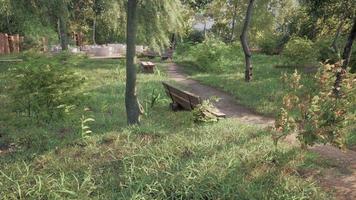 Wooden bench in nature by the tree photo