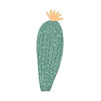 Cute prickly green cactus. Cacti flower isolated on white background. Cactus in doodle style. vector