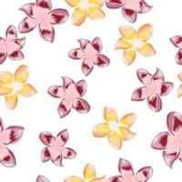 VIntage plumeria flower seamless pattern isolated on white background. vector